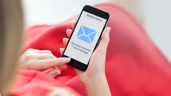 Phone notification alert